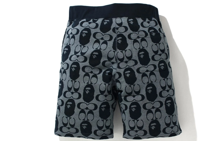BAPE x COACH Logo