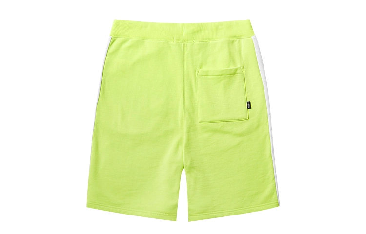 Vans FT Shorts