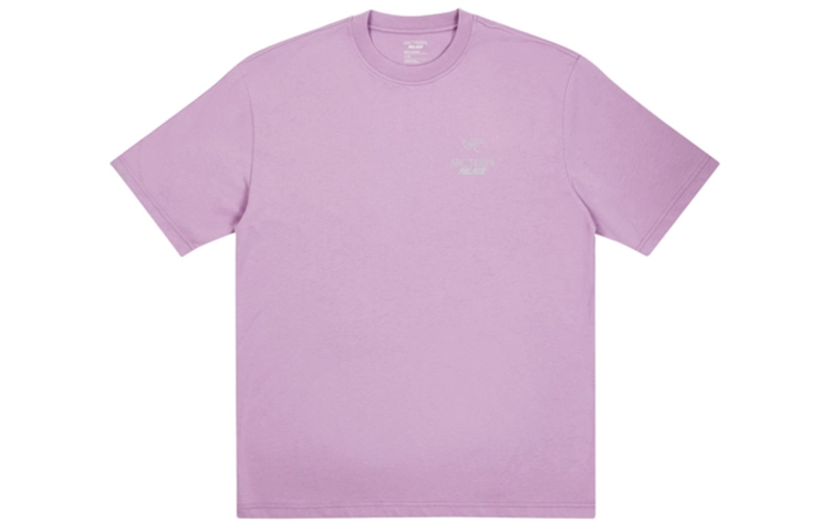 Arcteryx x PALACE PLACE ARC'TERYX LogoT
