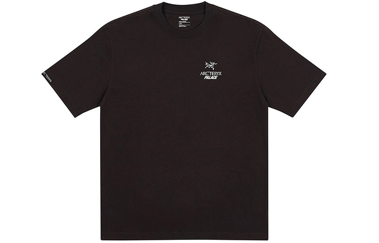 Arcteryx x PALACE PLACE ARC'TERYX LogoT