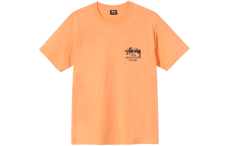 Stussy DSM New York T