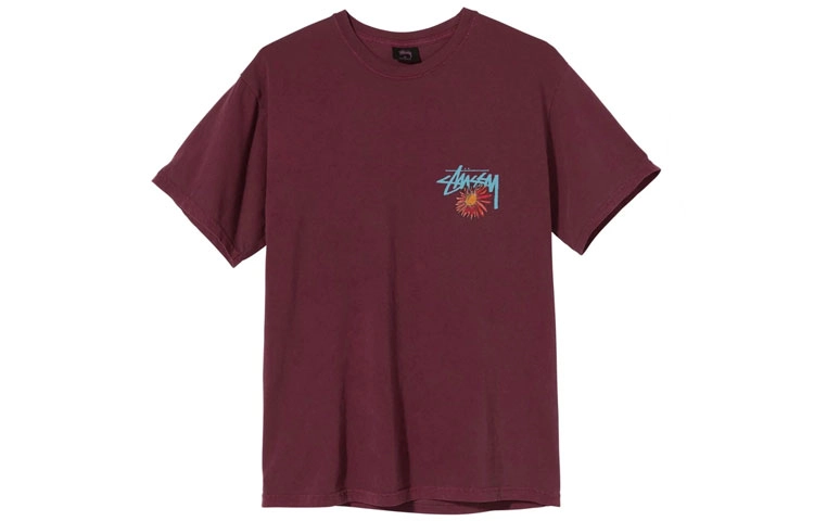 Stussy Smokin Skull Tee logoT