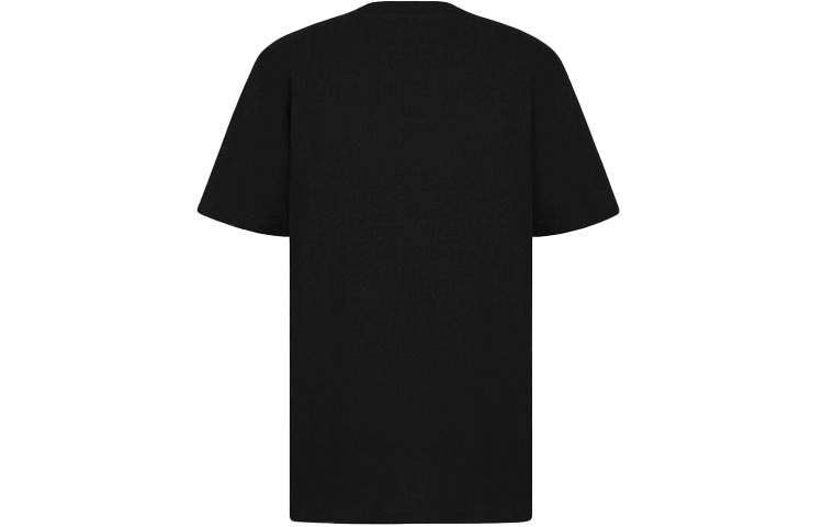DIOR DIOR T