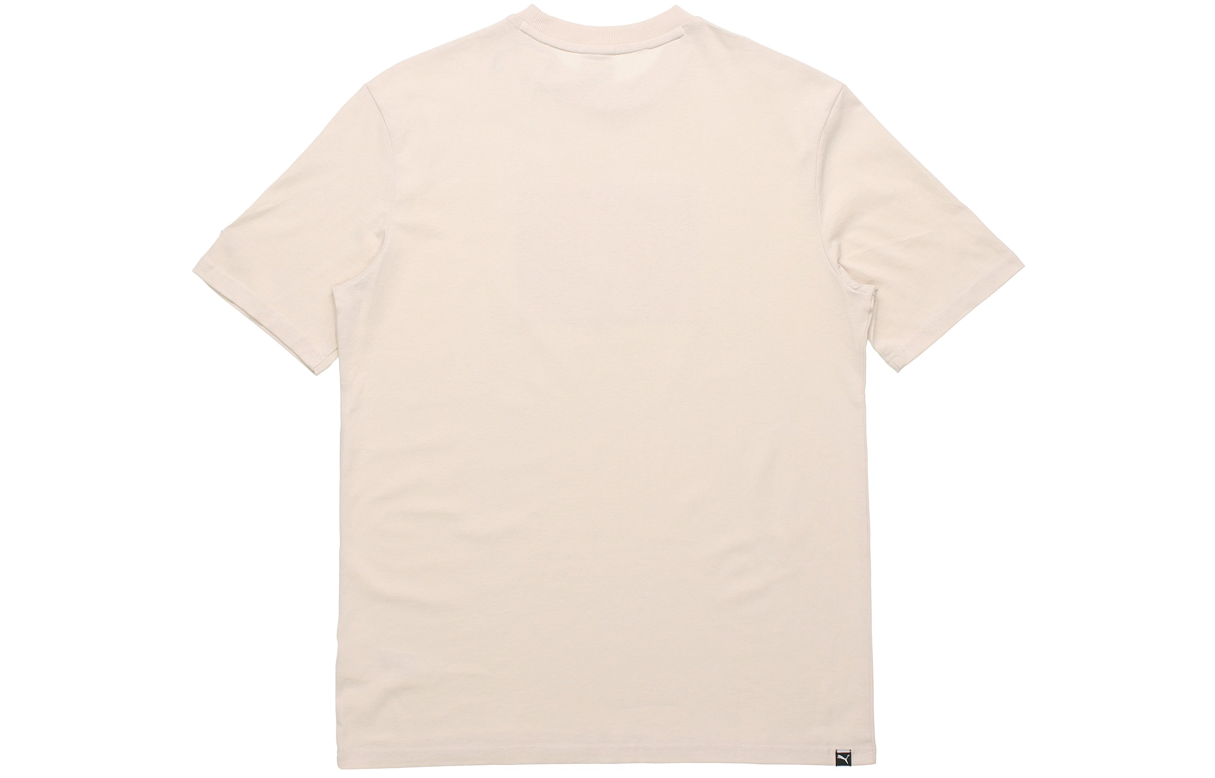Puma T