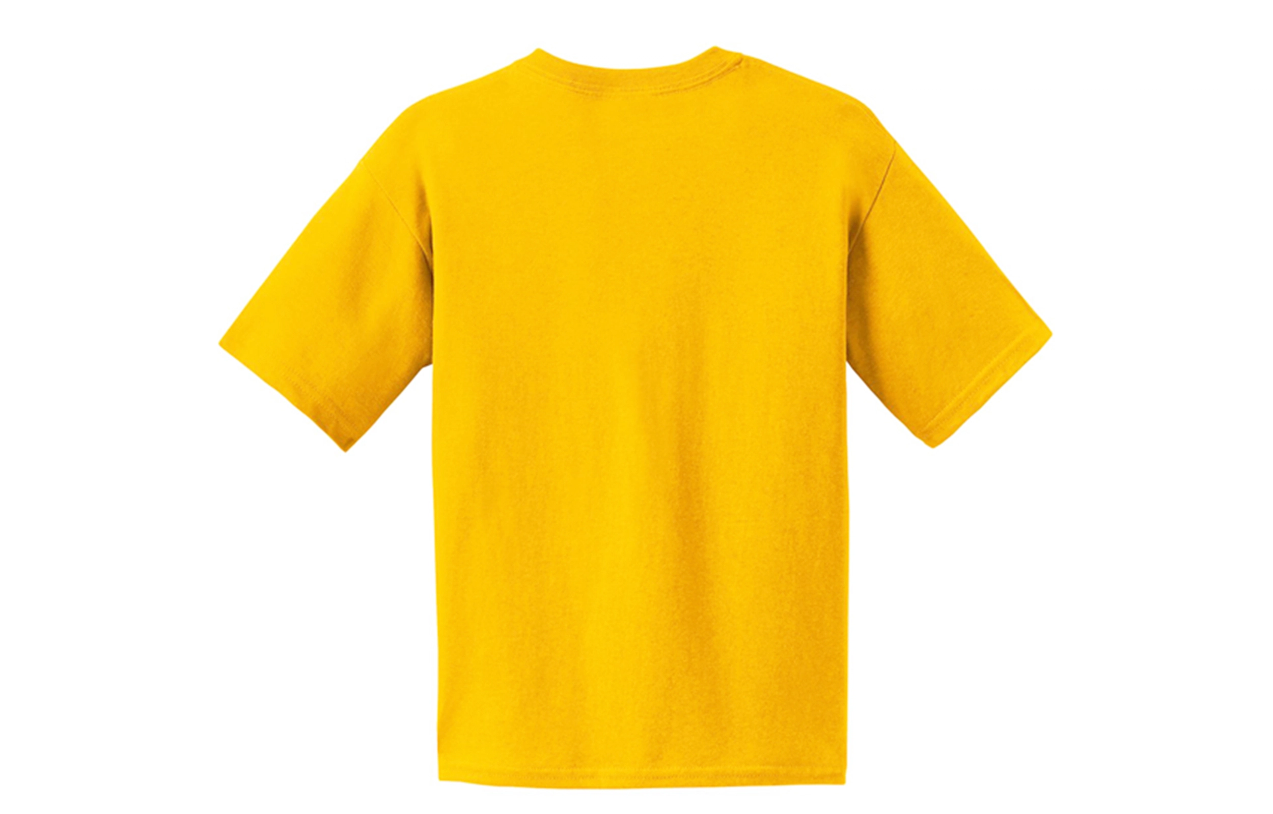 Champion T