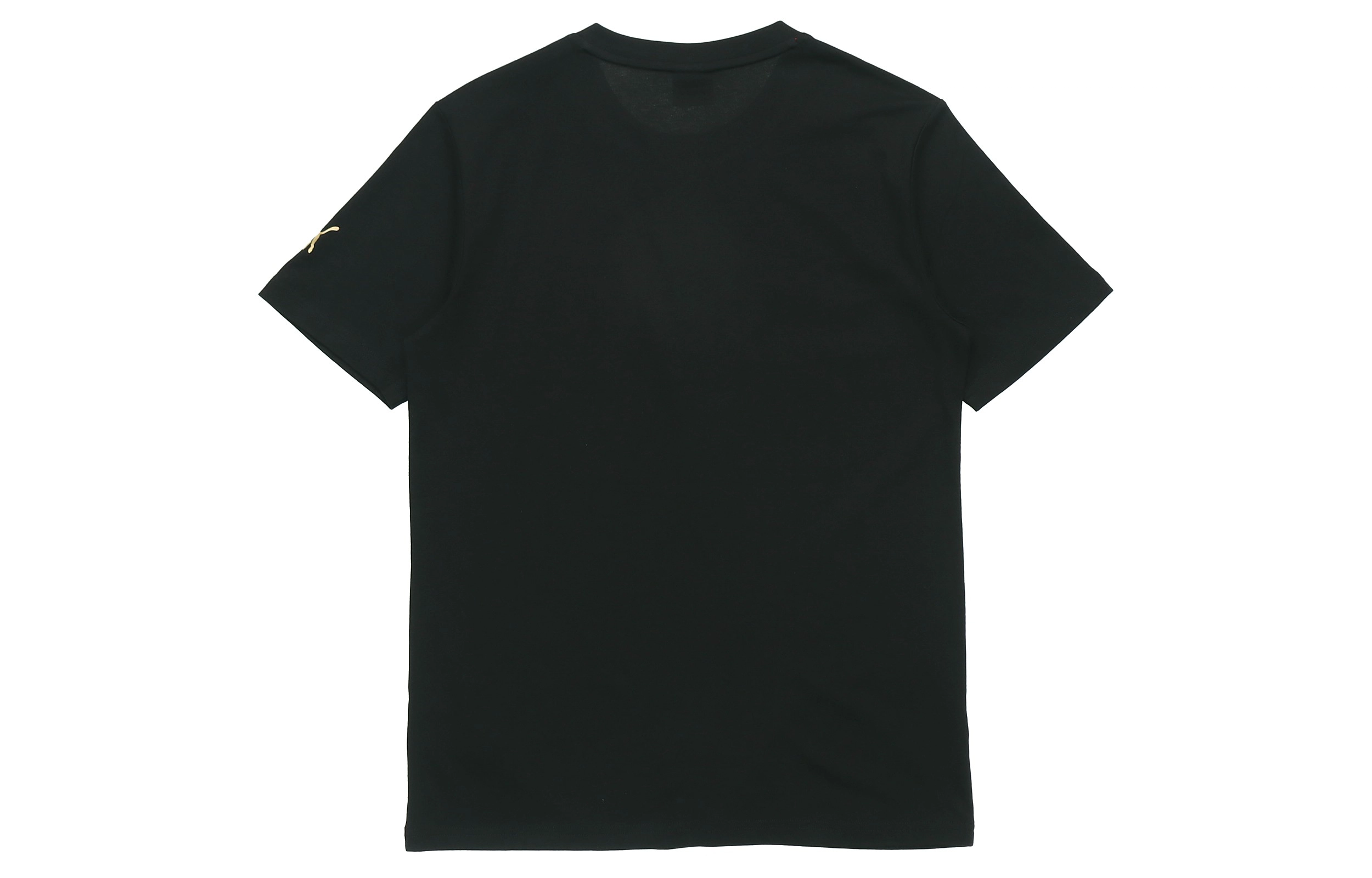 Puma T