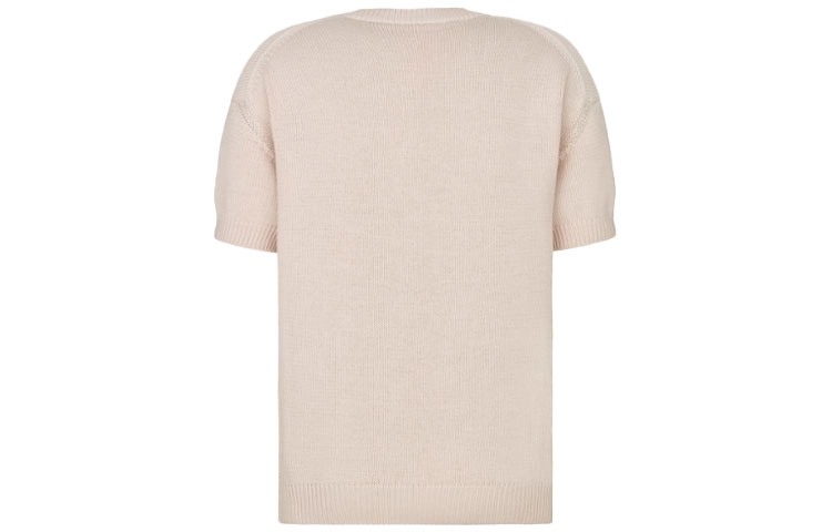 DIOR T