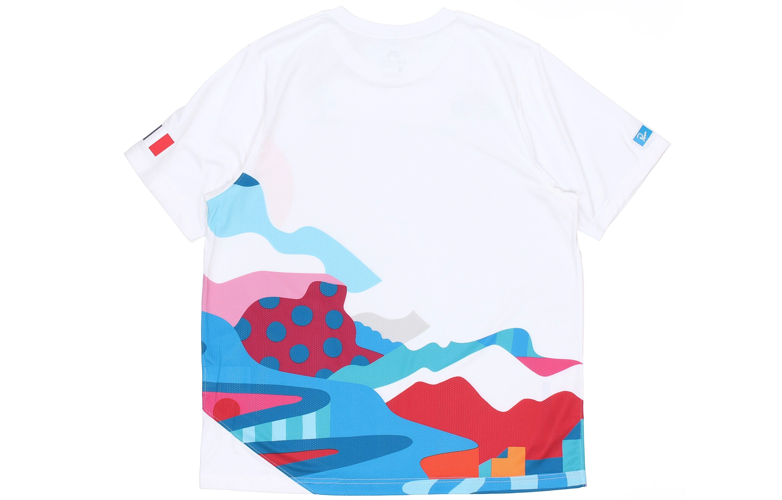 Nike SB x Parra France T