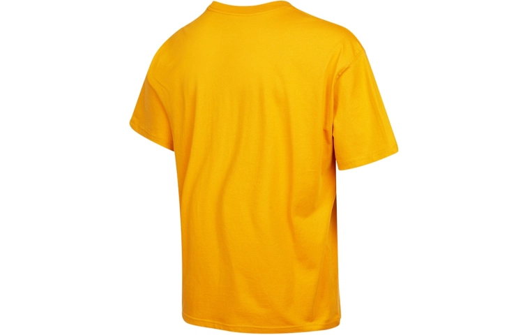Nike SB T