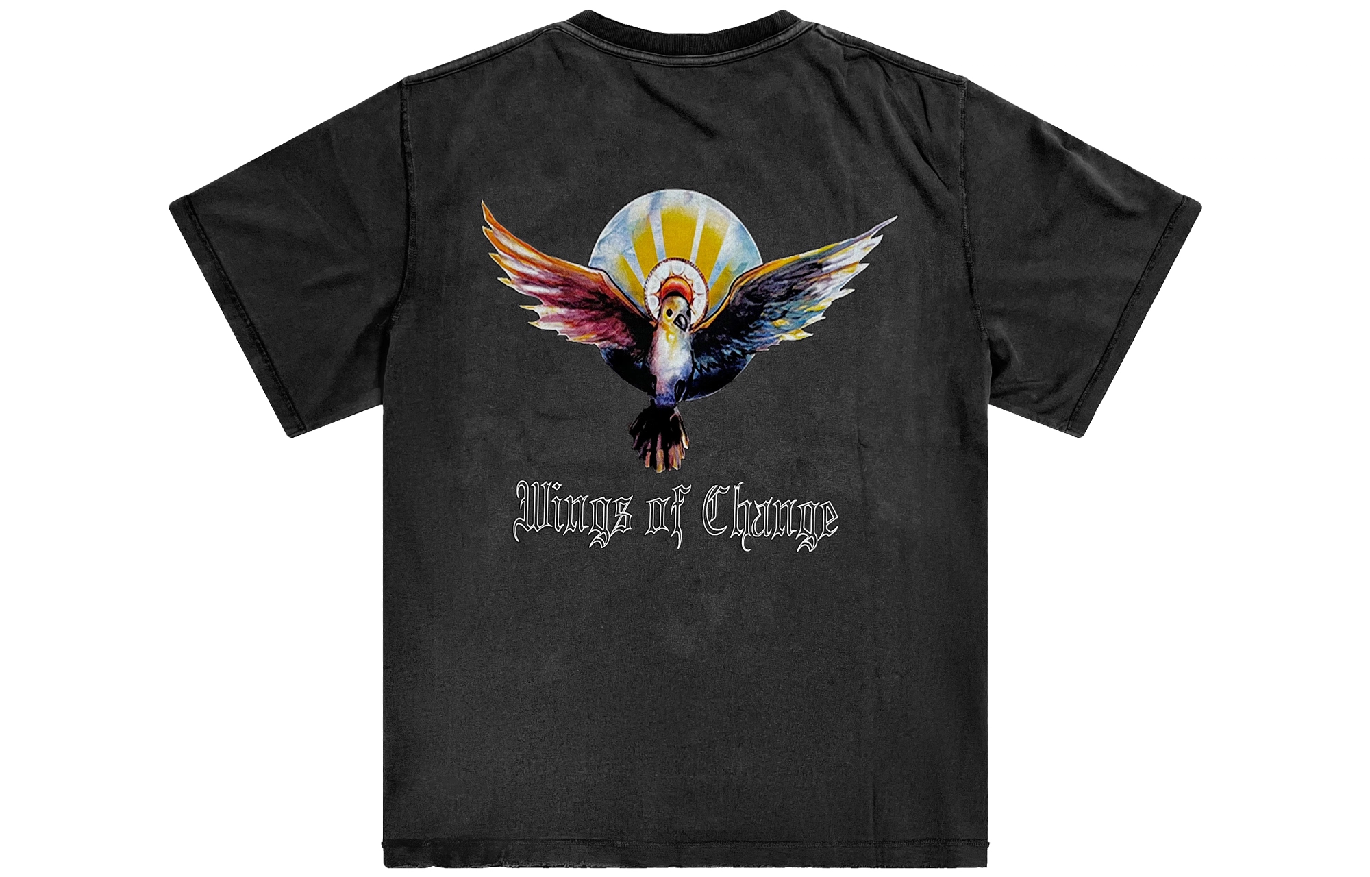 False Perception T