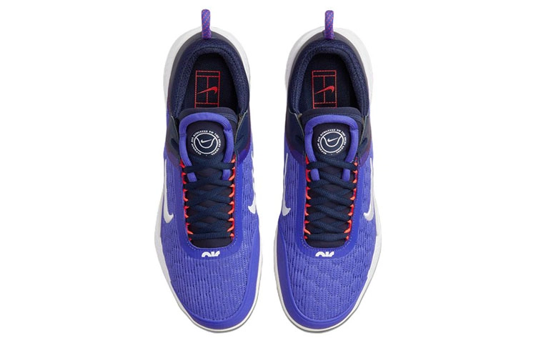 Nike Zoom Court NXT HC