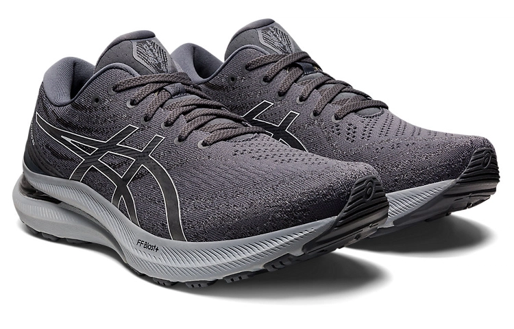 Asics GEL-KAYANO 29 2E