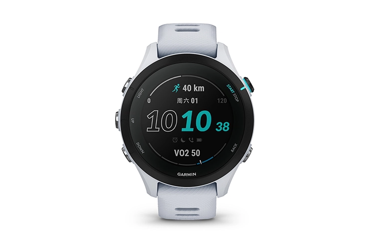GARMIN Forerunner255S 010-02641-76X