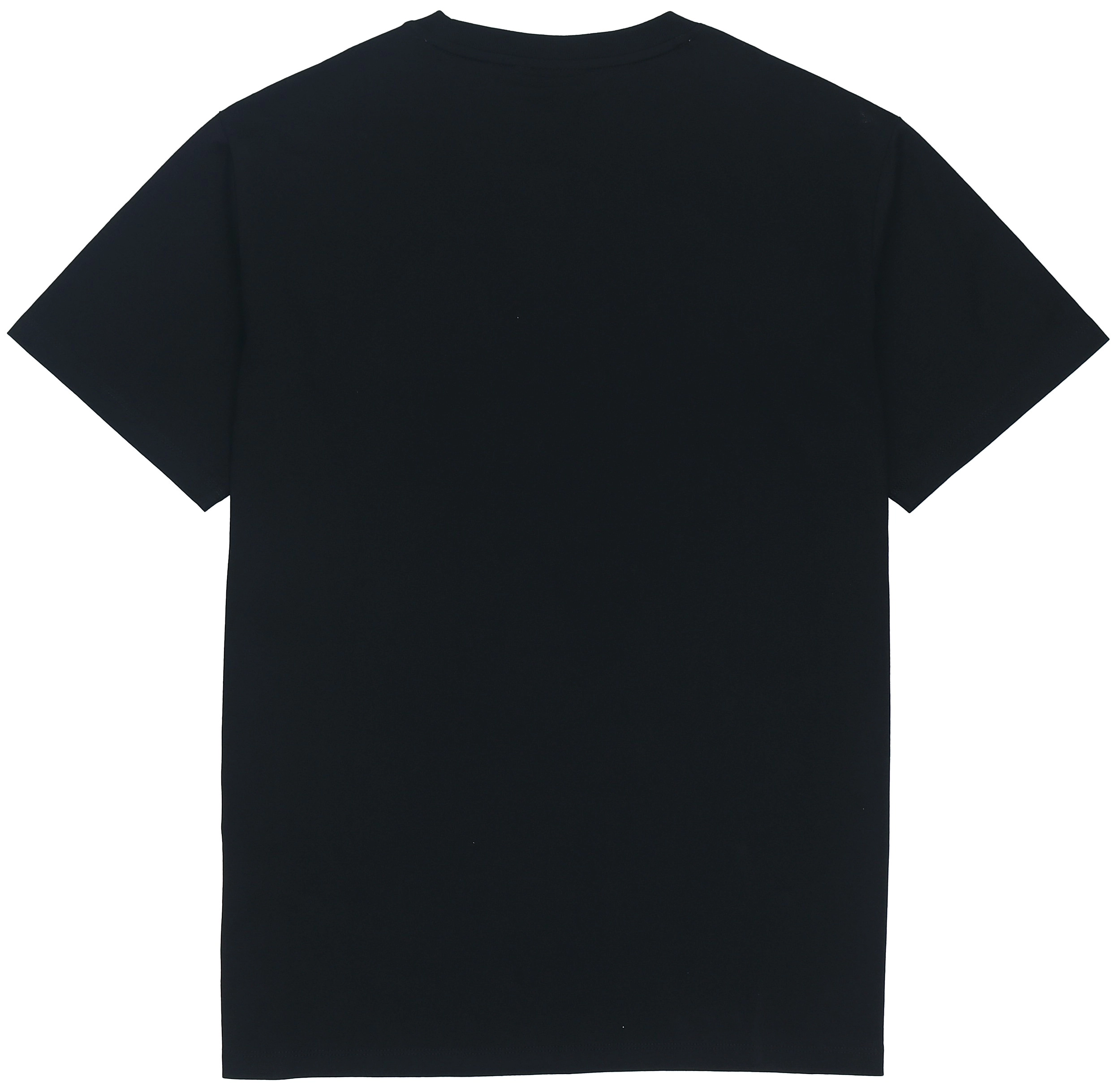 Dickies SS22 logoT
