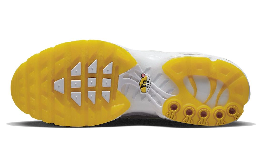 Nike Air Max Plus M. Frank Rudy