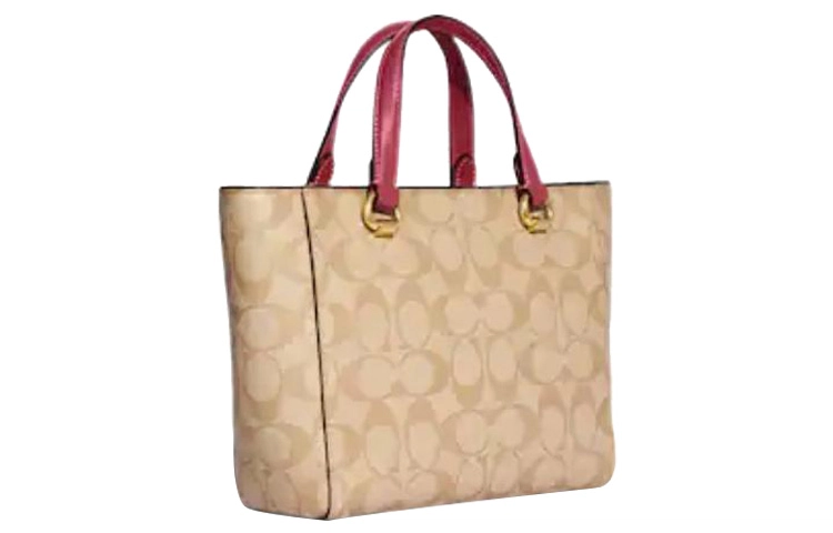 COACH Alice 21