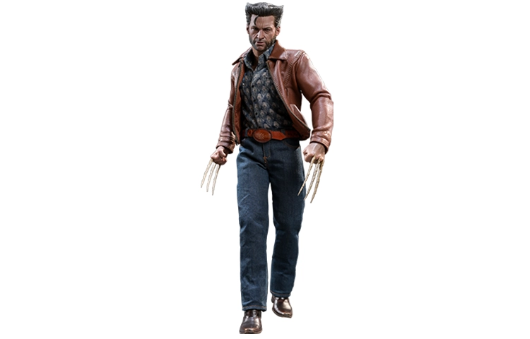 Hot Toys 16 x 30cm