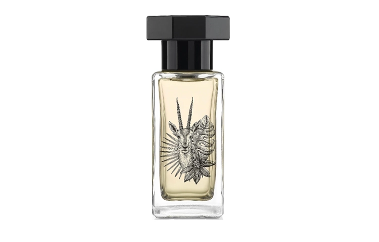 lecouvent SAIGA EDP 50ml100ml