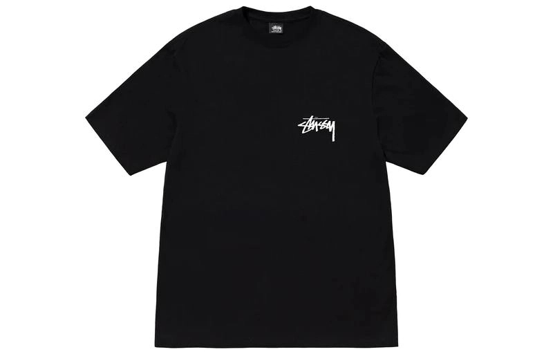 Stussy FW22 Coastline Tee LogoT
