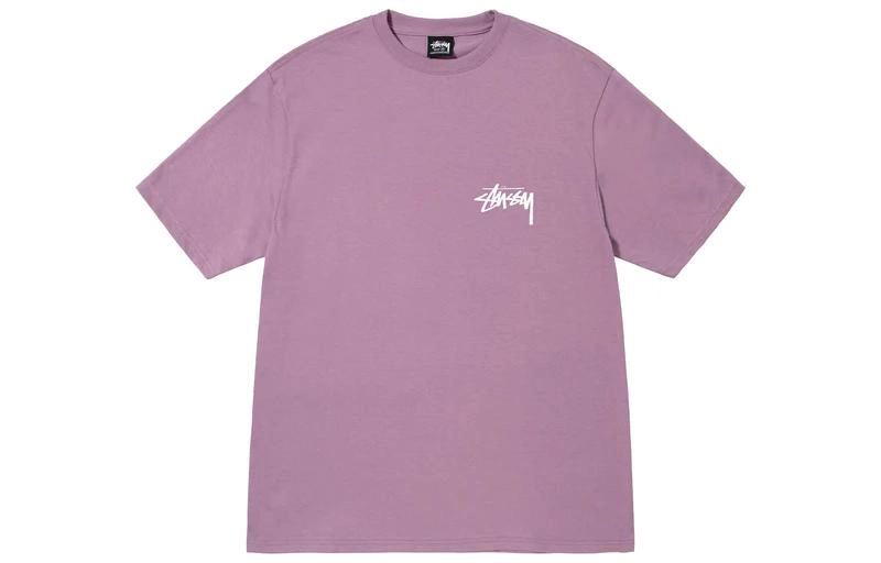 Stussy FW22 Coastline Tee LogoT