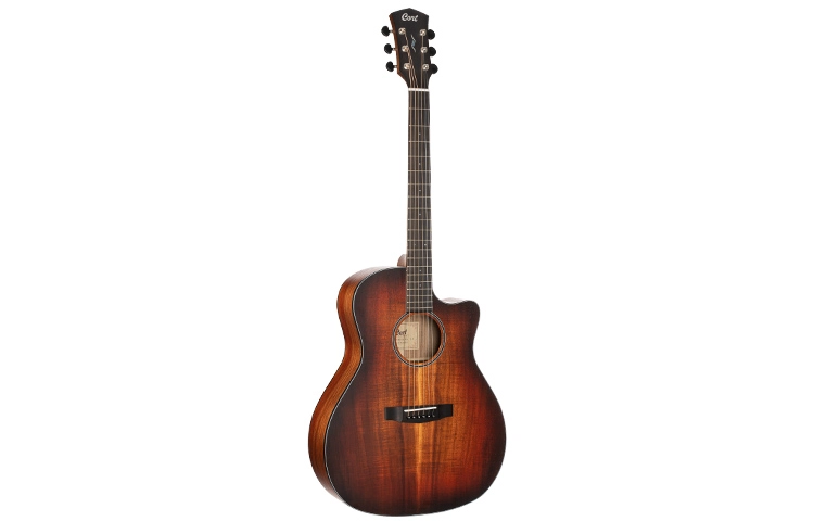 Cort Core Fishman Sonitone 4041