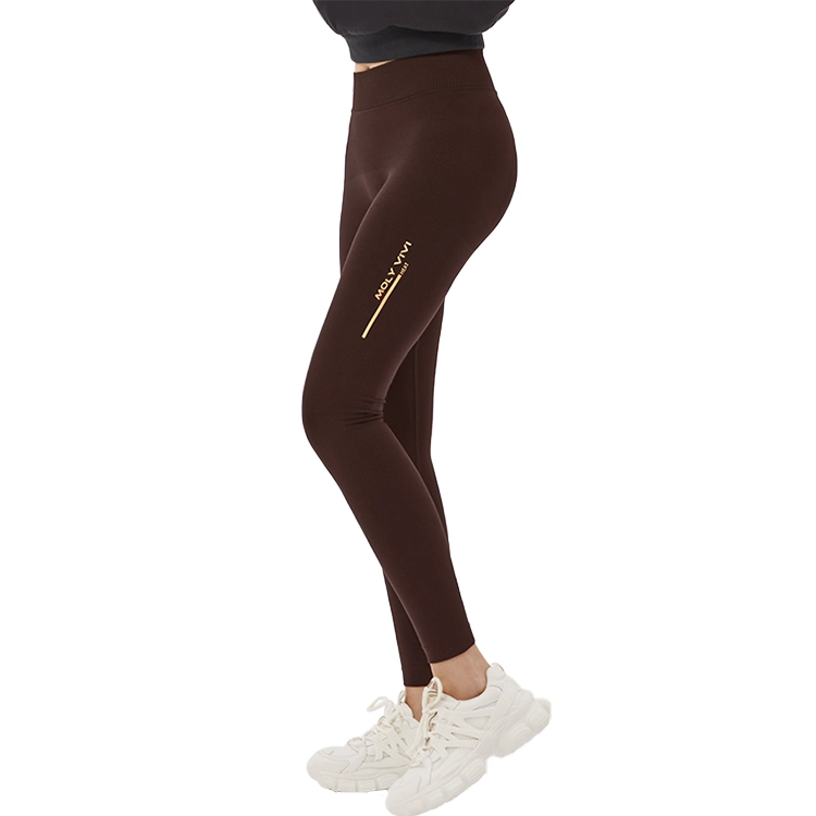 MOLY VIVI 2024