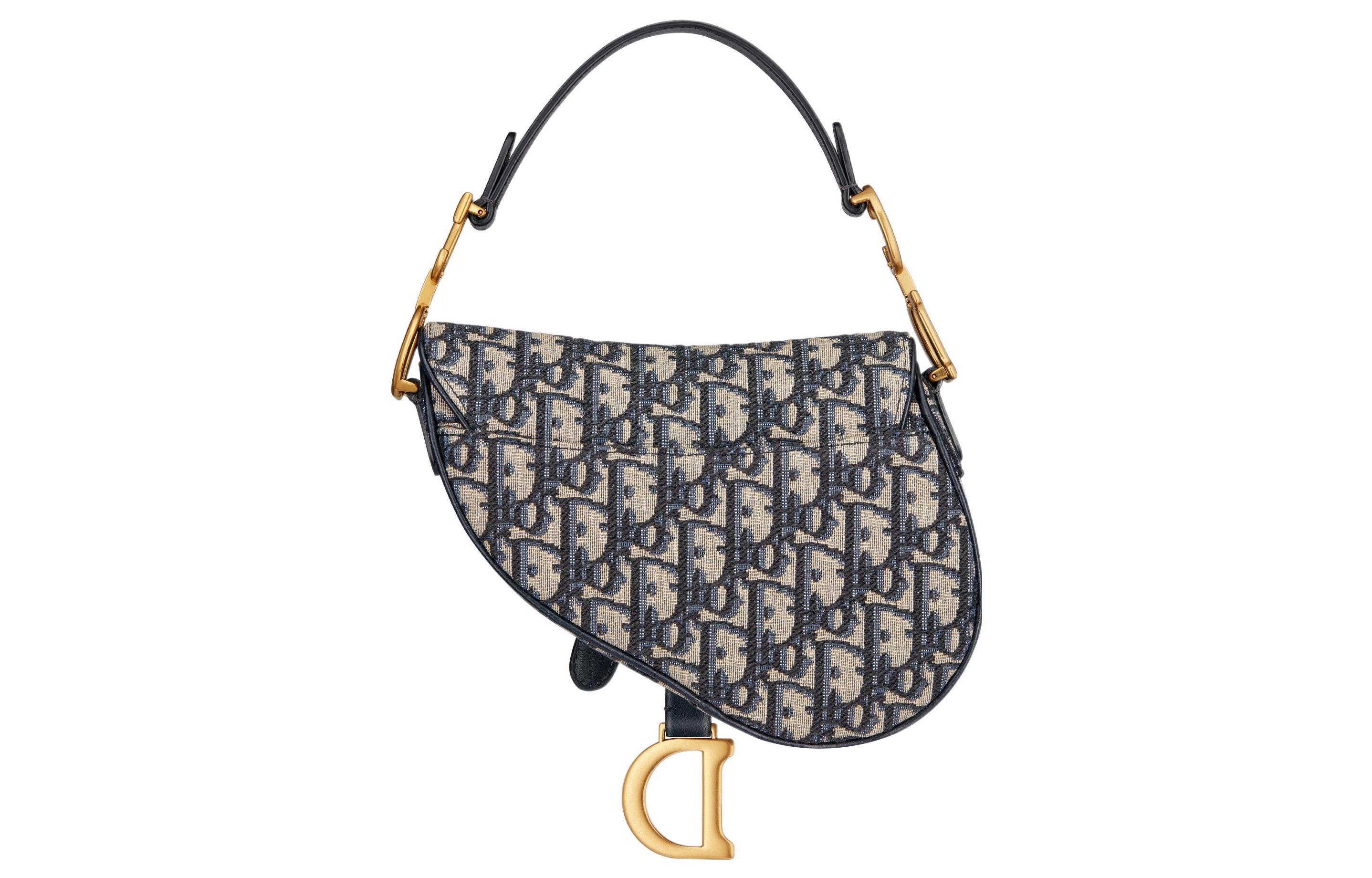 DIOR Saddle