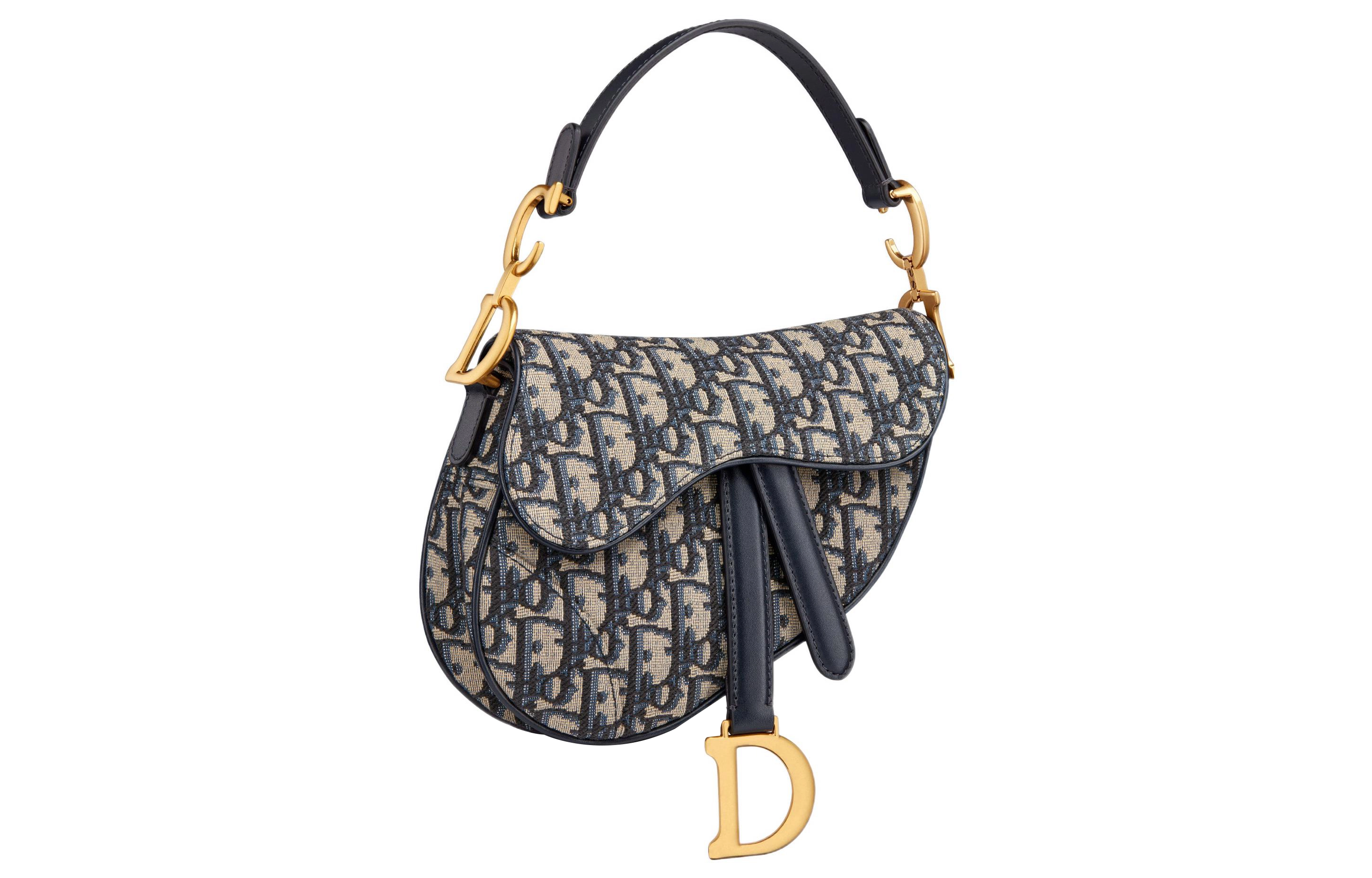 DIOR Saddle