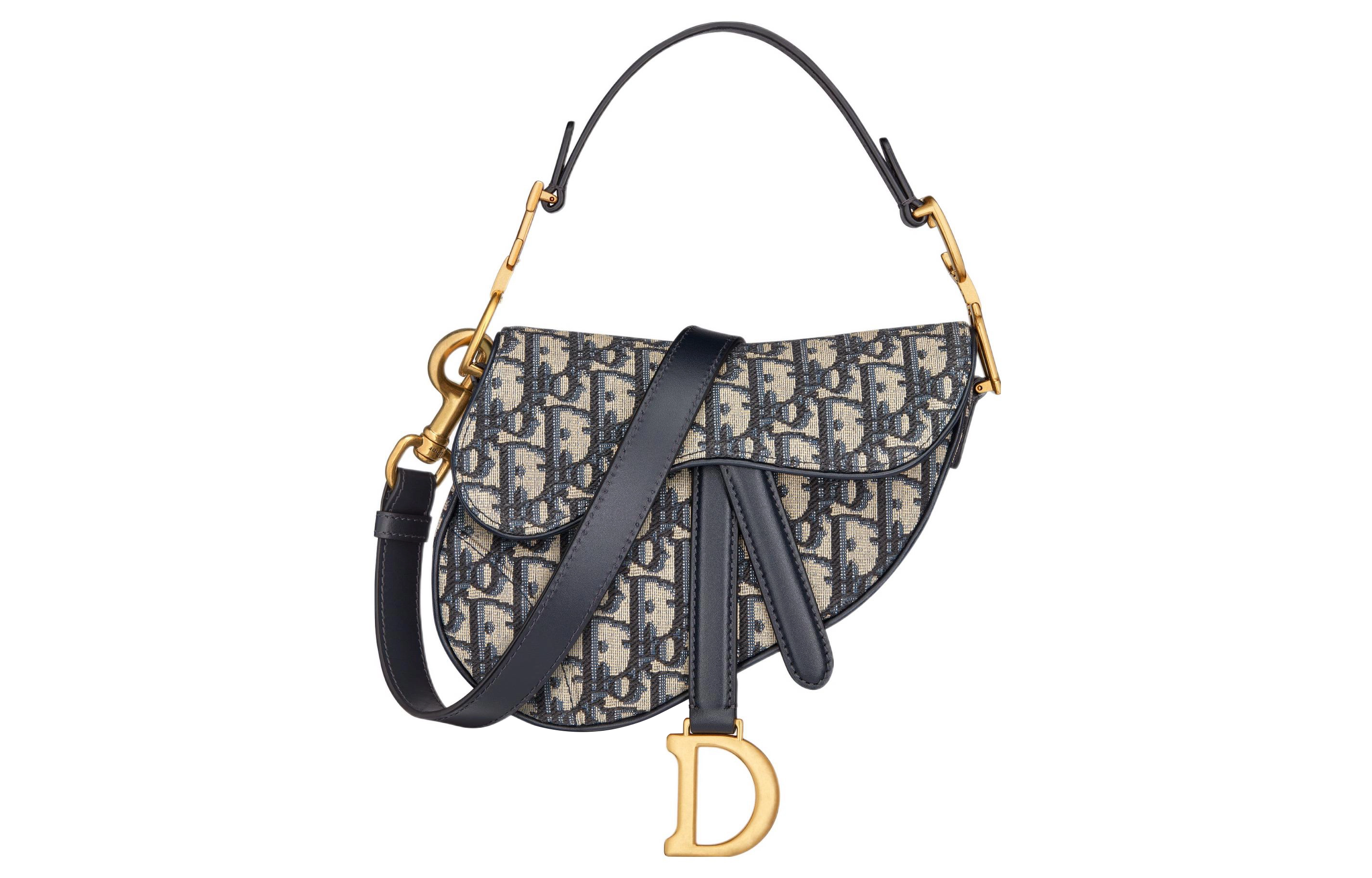 DIOR Saddle