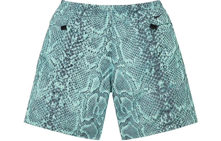Supreme FW22 Supreme x Nike ACG Nylon Trail Short Logo