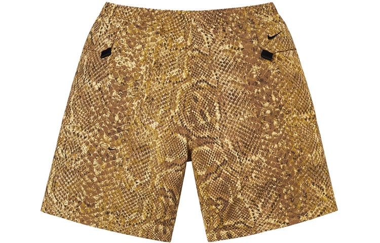 Supreme FW22 Supreme x Nike ACG Nylon Trail Short Logo
