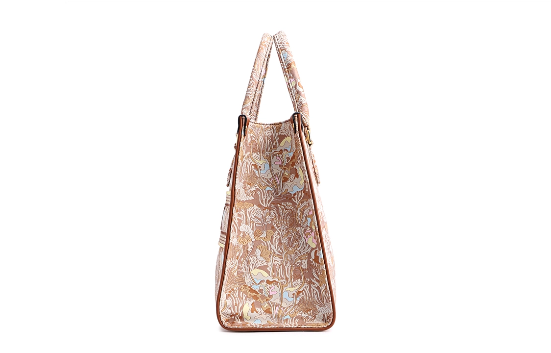 FION tote
