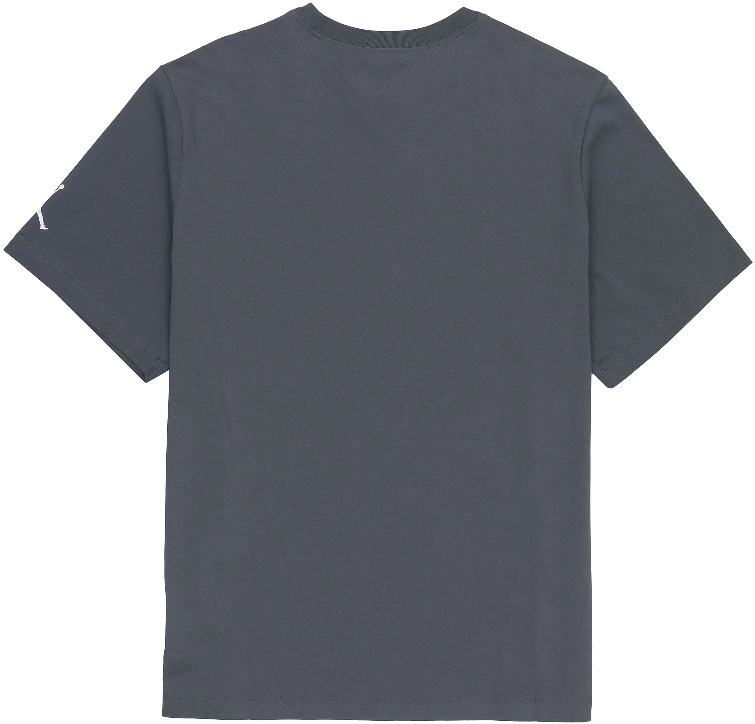 Air Jordan Sport Dna T