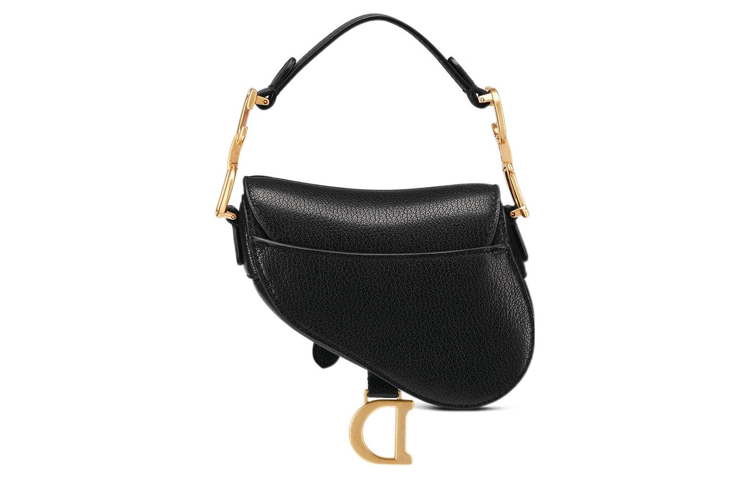 DIOR Saddle