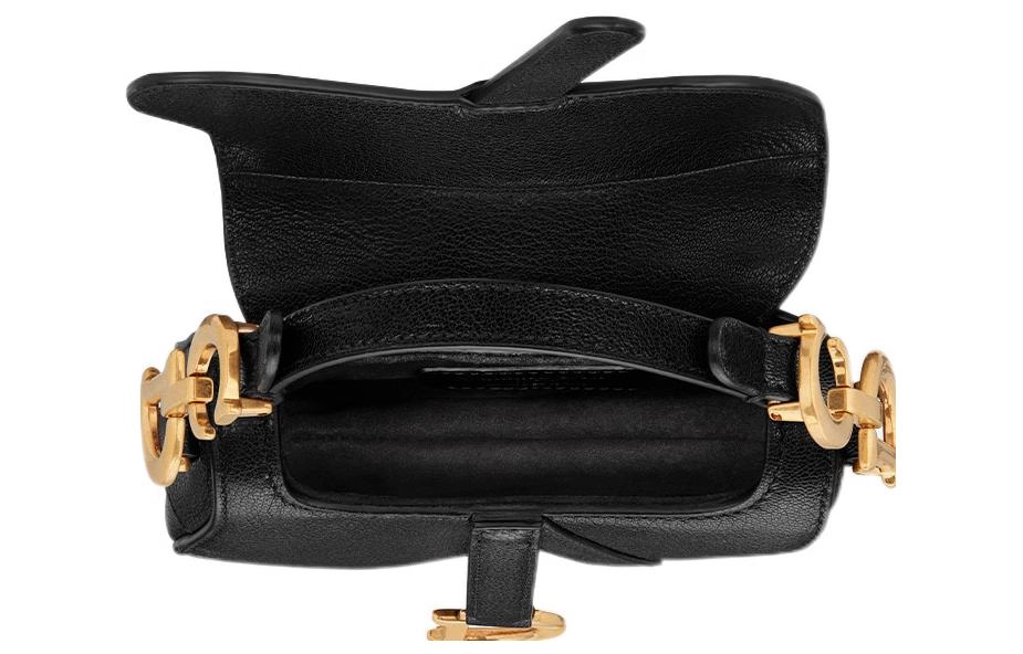 DIOR Saddle