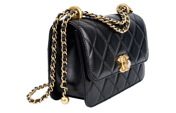 CHANEL 19Bag 24C21B