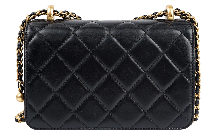 CHANEL 19Bag 24C21B