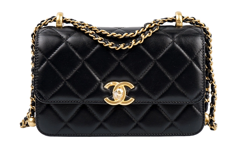 CHANEL 19Bag 24C21B