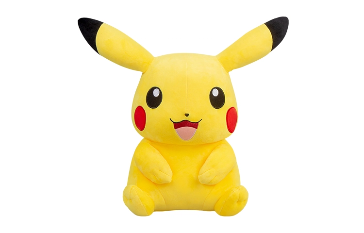 x POKEMON AOGER
