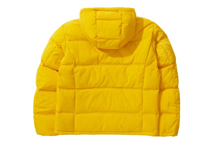 Champion x logo