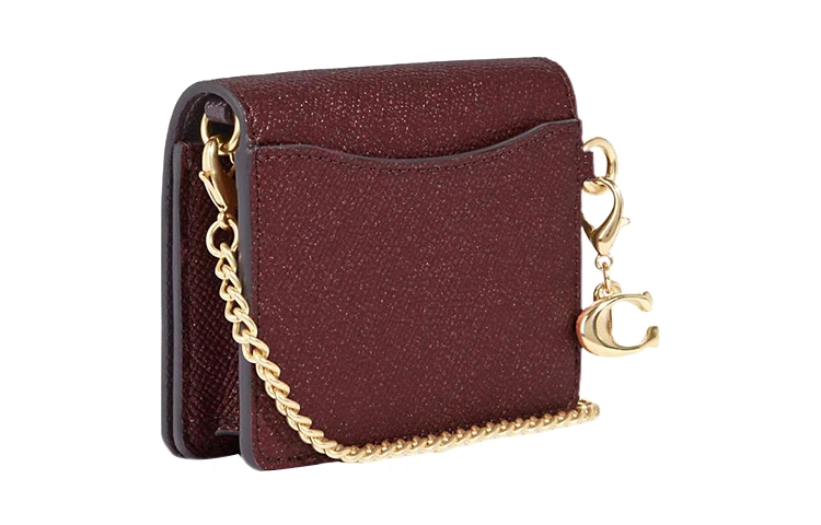 COACH Chain 10