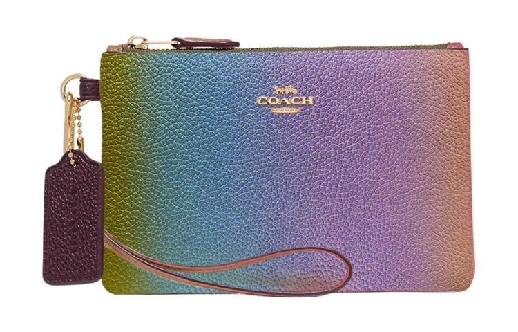 COACH Pouch 12