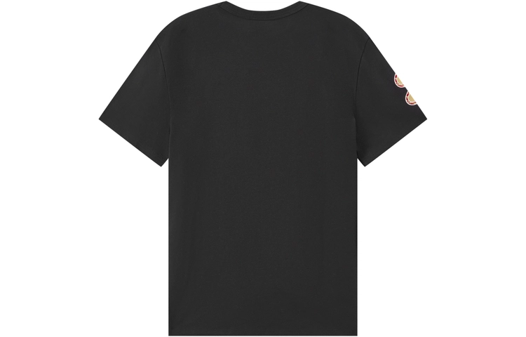 Champion FW22 logoT