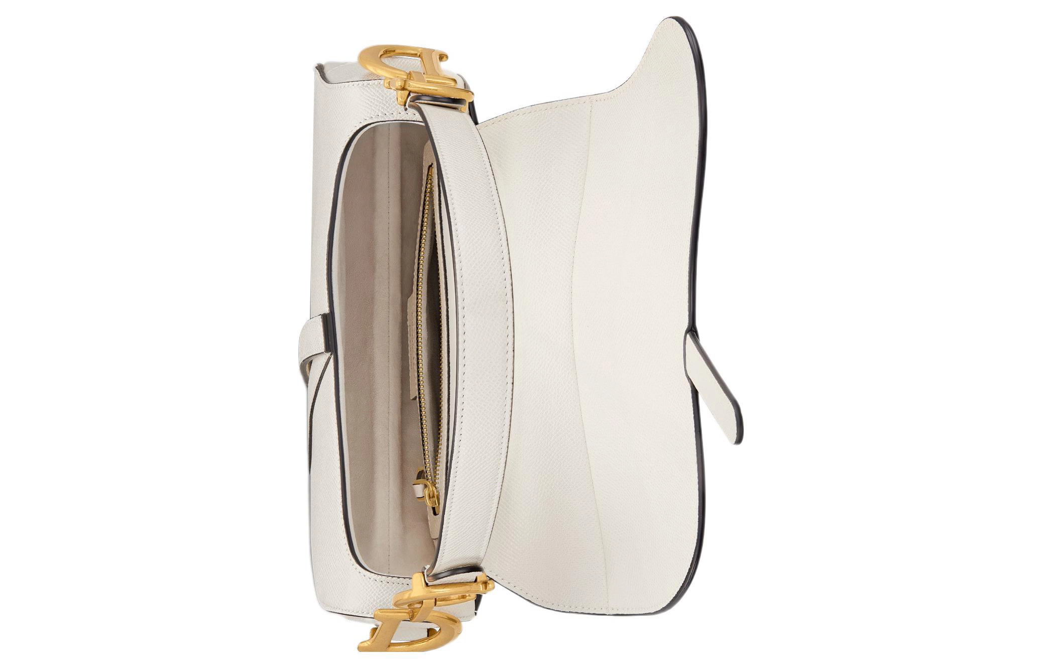 DIOR Saddle DCD