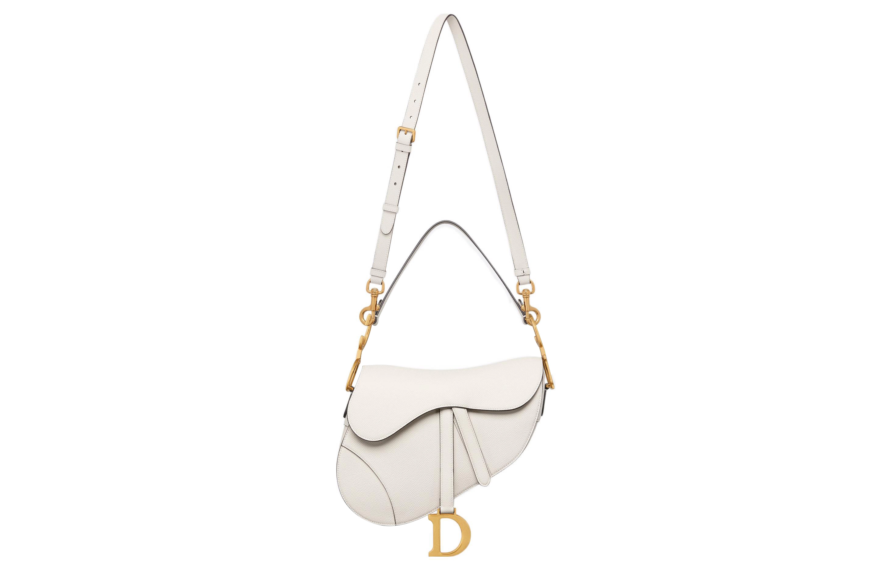 DIOR Saddle DCD
