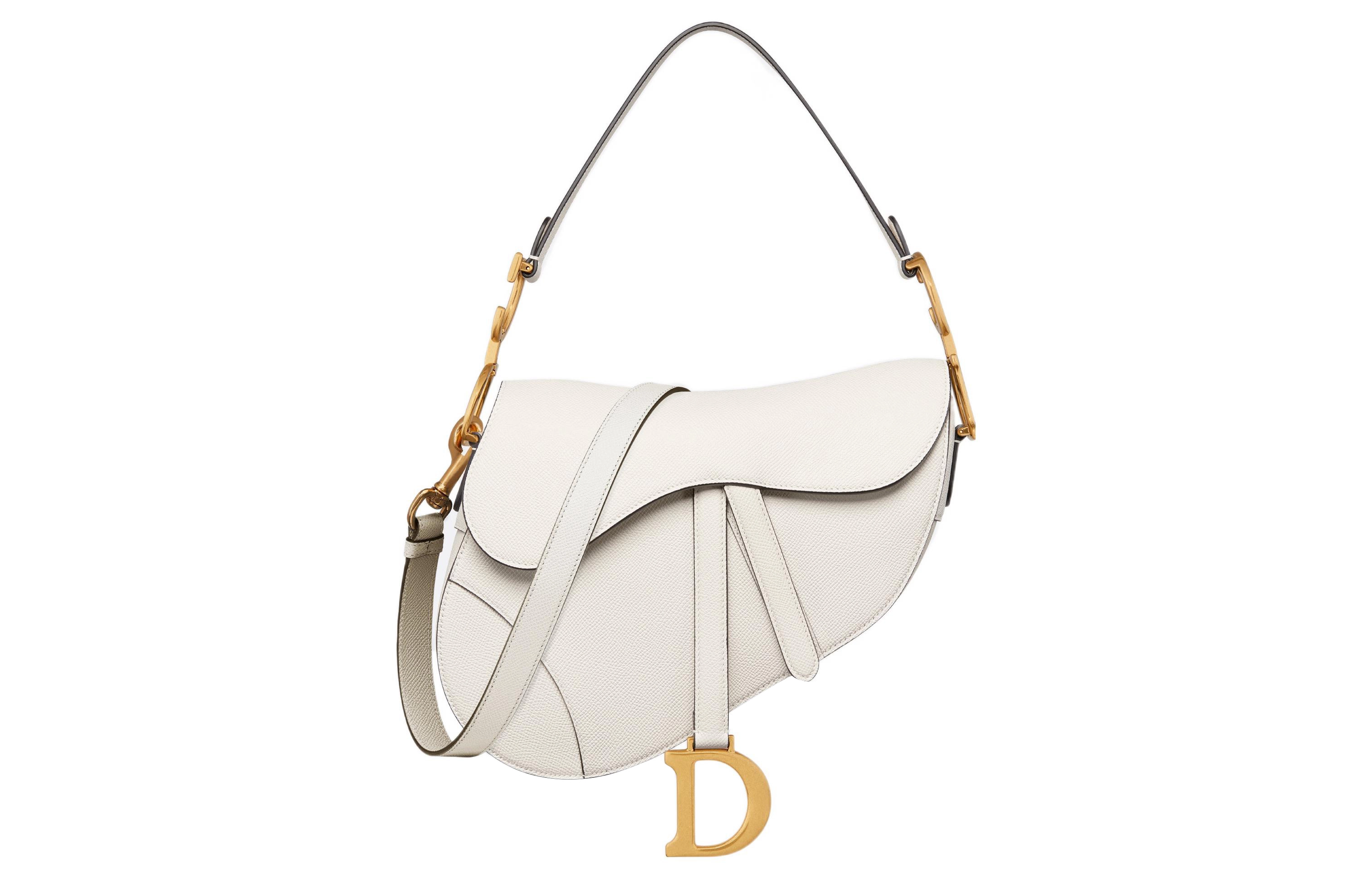 DIOR Saddle DCD