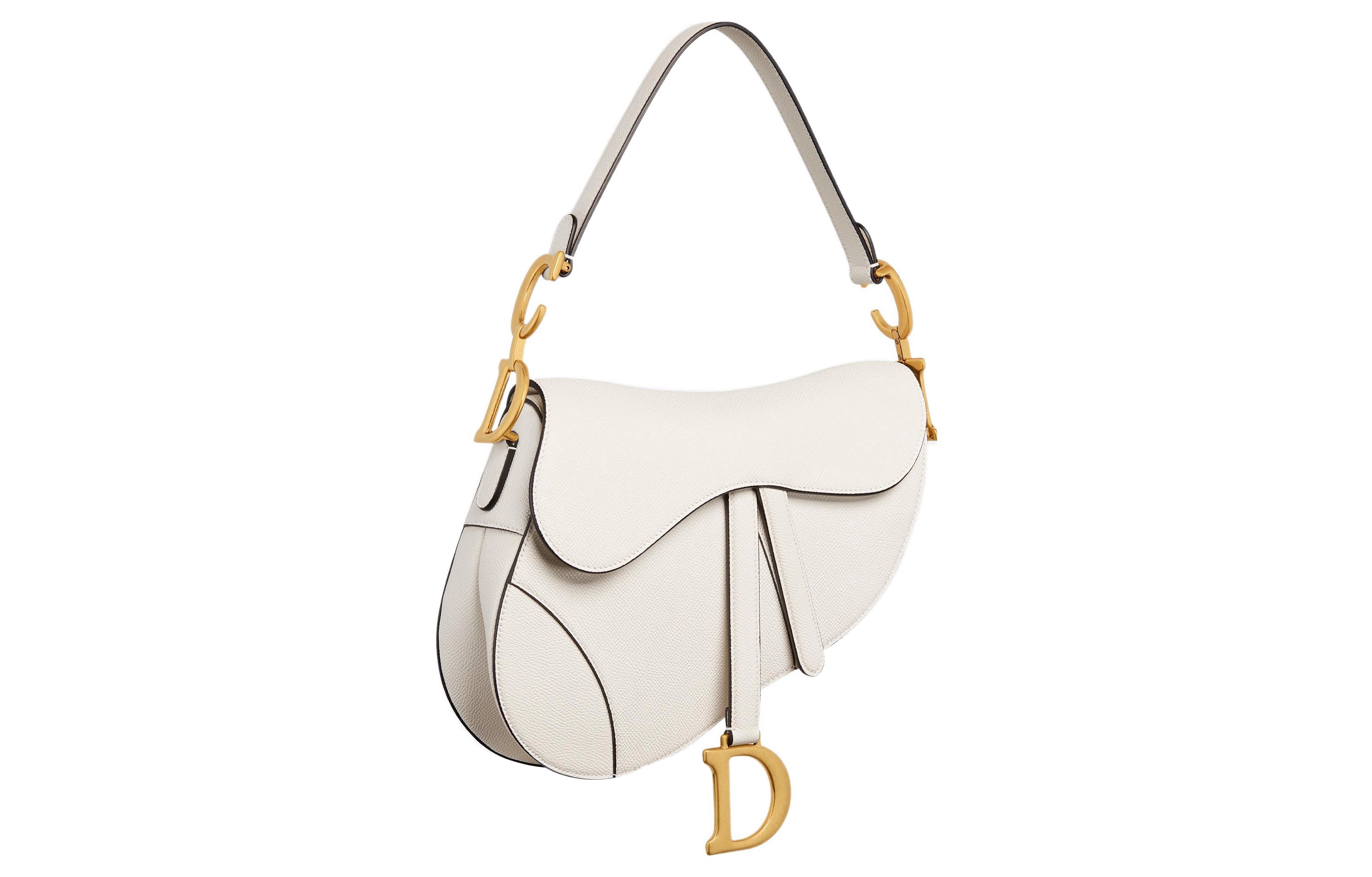 DIOR Saddle DCD