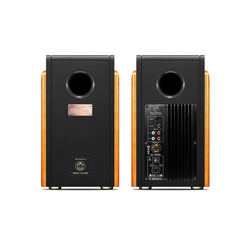 HIVI Swan M200MKIII+ HIFI 2.0