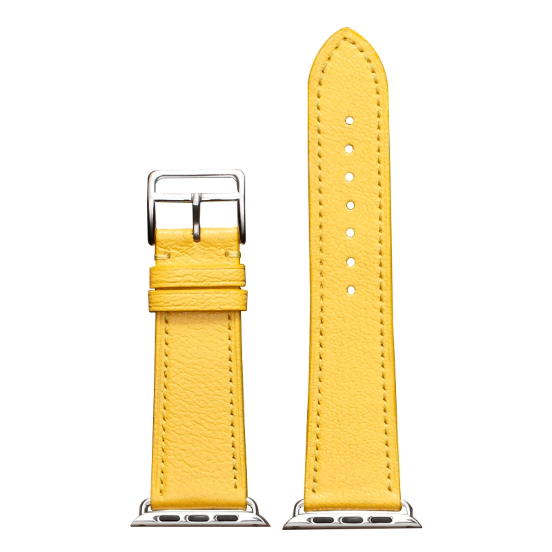 ZS Apple watchiwatch6SE789 38-45mm 2111268