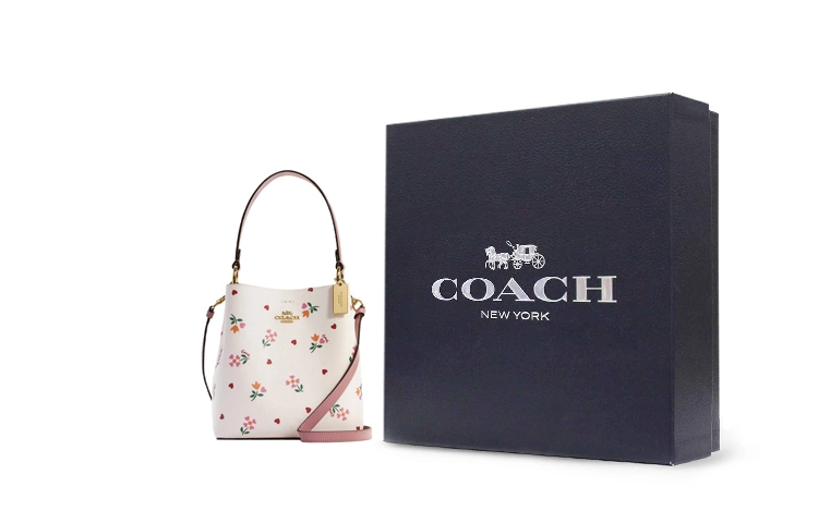 COACH Town 22